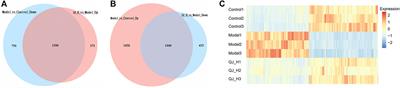 Hepatoprotective Efficacy and Interventional Mechanism of Qijia Rougan Decoction in Liver Fibrosis